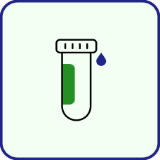 Progesterone Test