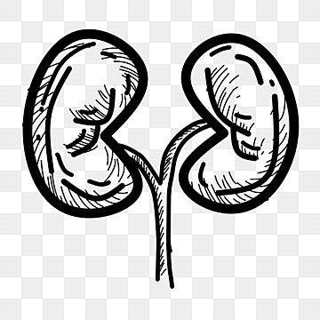 Nephrology